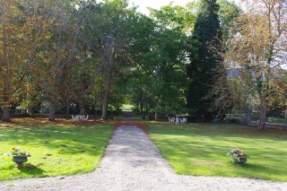 IMGP3186